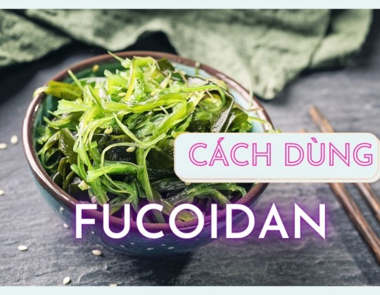 [BẬT MÍ] Liều dùng fucoidan đúng chuẩn của các chuyên gia là bao nhiêu?