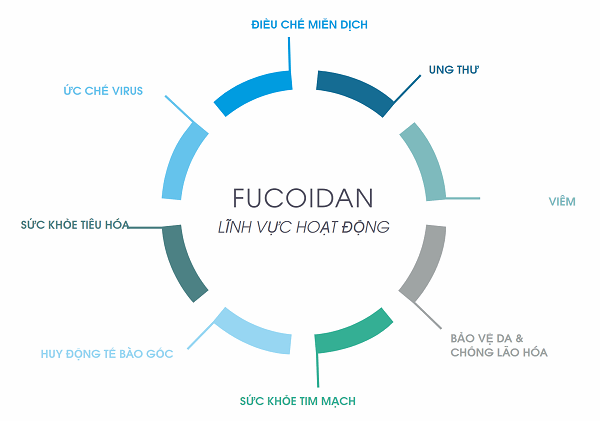 Fucoidan đối với bệnh ung thư như thế nào