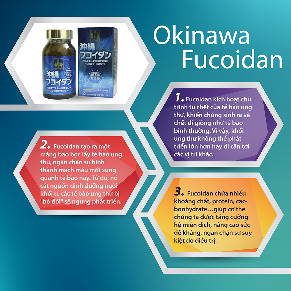Cơ chế tác động của Okinawa Fucoidan trong hỗ trợ điều trị bệnh ung thư