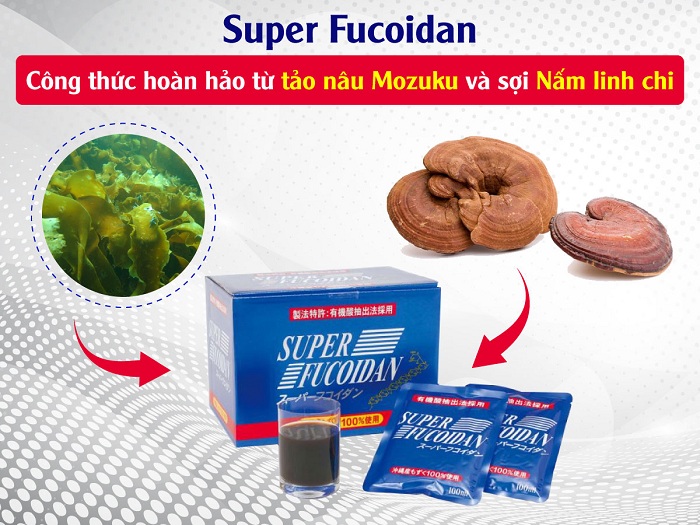 Thành phần của Super Fucoidan gồm Fucoidan và nấm linh chi