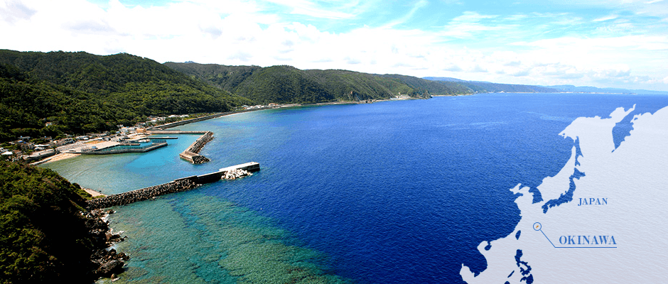Đảo Okiawa Nhật bản