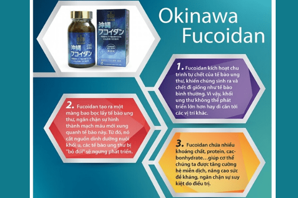Okinawa Fucoidan có tác dụng phòng ngừa và hỗ trợ điều trị mọi giai đoạn ung thư