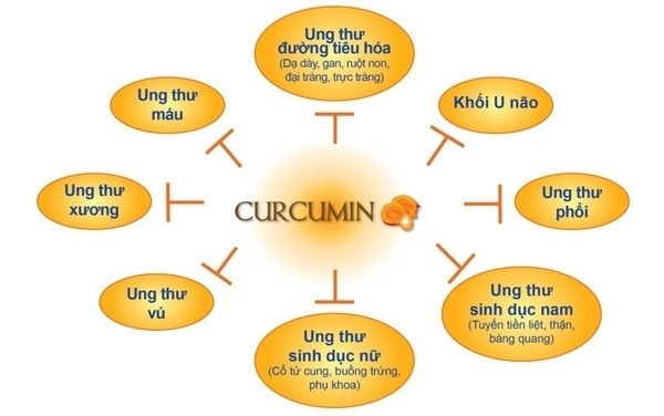 Cơ chế tác dụng của thành phần curcumin có trong tinh chất nghệ nano dạng gói