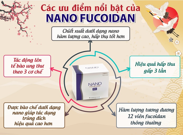 Nano Fucoidan Extract Granule là sản phẩm hỗ trợ điều trị ung thư hàng đầu Nhật Bản