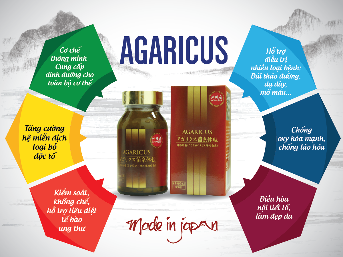 Viên thể nấm Agaricus hỗ trợ điều trị ung thư hiệu quả